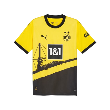 BVB Home 23/24 Player Version