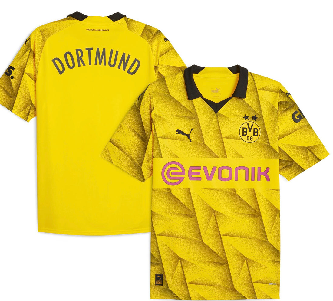 BVB Third 23/24